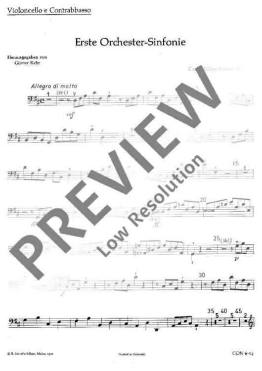 Symphony No. 1 in D major - Violoncello/double Bass