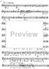 Concertante - Solo Bassoon
