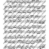 Duo D major - Performing Score