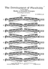The Development of Flexibility in Violin Playing