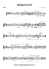 Woodland Dawn - Flute