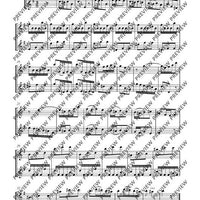 Sonata e minor - Performing Score