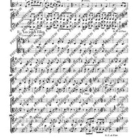 Tambourin - Set of Parts