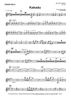Kakadu - Tenor Saxophone 2