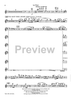 No, No, Nannette - Selections for Orchestra - Flute 1