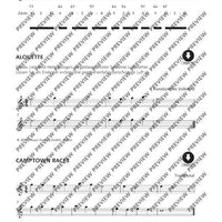 Jeder kann Mundharmonika