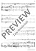 Two Sonatas in D minor