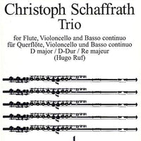 Trio D Major