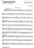 Il gioco dell'opera