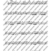 Largo from ”Winter“