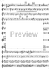 Il tamburo magico - The magical tambourin [set of parts] - Flute