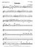 Kakadu - Solo Lead C Instrument