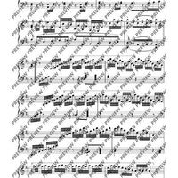 Variationen über „Nel cor più non mi sento“