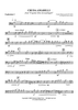 Cruda Amarilli - Euphonium 2