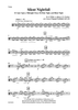 Silent Nightfall - Viola