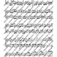 Duo D major - Performing Score