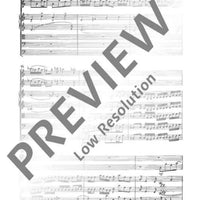 Divertimento giocoso - Score