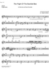 The Flight of the Bumble-Bee from "The Tale of Tsar Sultan" - Euphonium