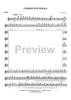 Coshocton Polka - Flute