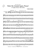 Waltz Me Around Again, Please! - Bb Tenor Horn/Baritone/Trombone