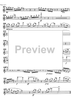 Metamorhposes - Flute