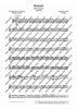 Concerto E Minor - Set of Parts