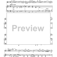 Suzuki Viola School, Volume 5 - Piano Accompaniment