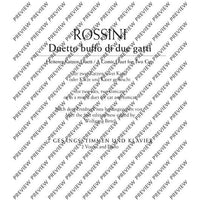 Duetto buffo di due gatti