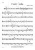 Country Czardas - Viola