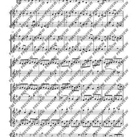 Sonata G Major - Performing Score