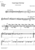 Copenhagen Morning - Percussion 2