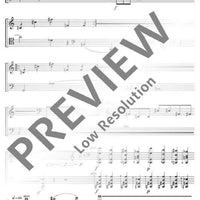 Concento di corde - Performing Score