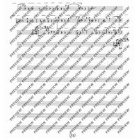 Collected Studies for Player Piano