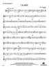 Caliber - Alto Saxophone 2