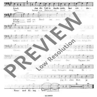 An der schönen blauen Donau - Bass