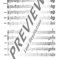 The Christmas Story - Recorder