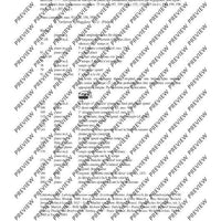 Introduction, Thema und Variationen