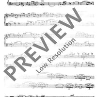 Duo - Performing Score