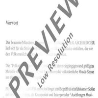 12 zünftige bayerische Stückl