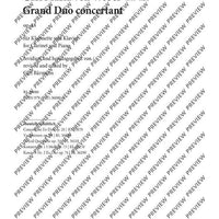 Grand Duo concertant