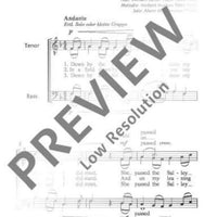 Down By the Salley Gardens