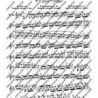 100 Technical Paraphrases on Kreutzer-Etudes