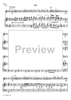 Concerto in F Major for Flute, Strings and Cembalo - Piano Score