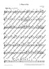 Flute Fun