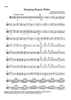 Sleeping Beauty Waltz - Viola