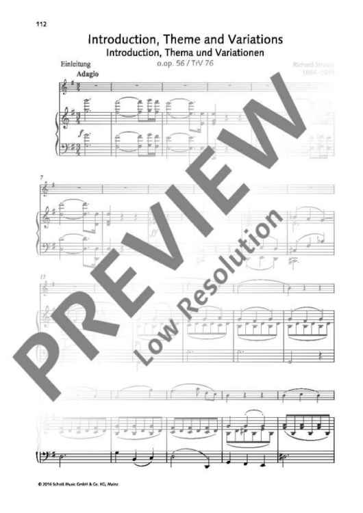 Introduction, Theme and Variations