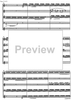 Divertimento Op.69 - Score