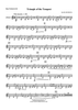 Triangle of the Tempest - Bass Clarinet