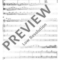 Concerto C Major - Full Score