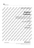 Cadenza for the Brandenburg Concerto No. 3 G major by Johann Sebastian Bach - Performing Score